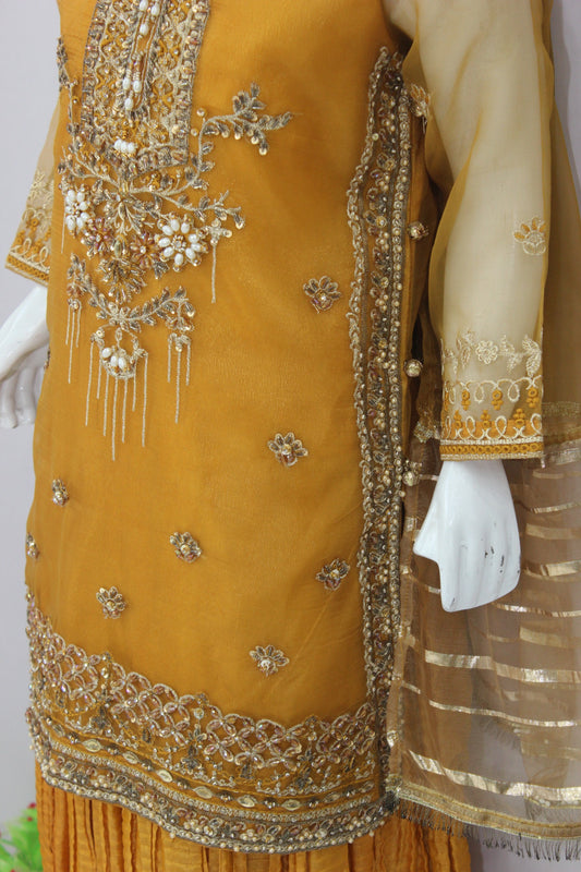 Crush Lehnga 3 Piece Dress with Organza Shirt & Dupatta