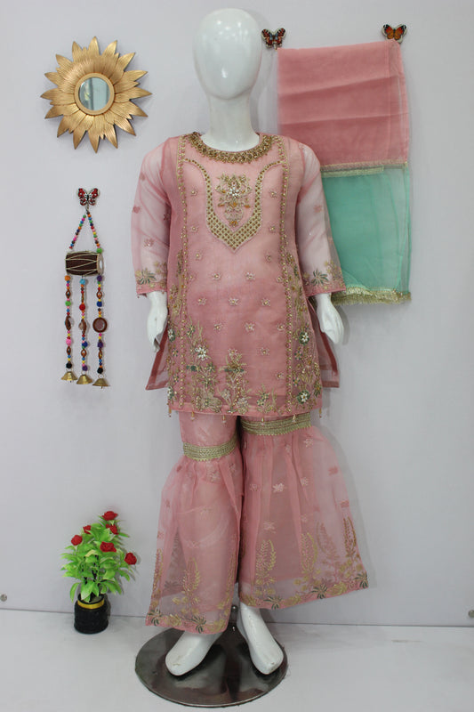 Organza gharara 3 Piece Dress