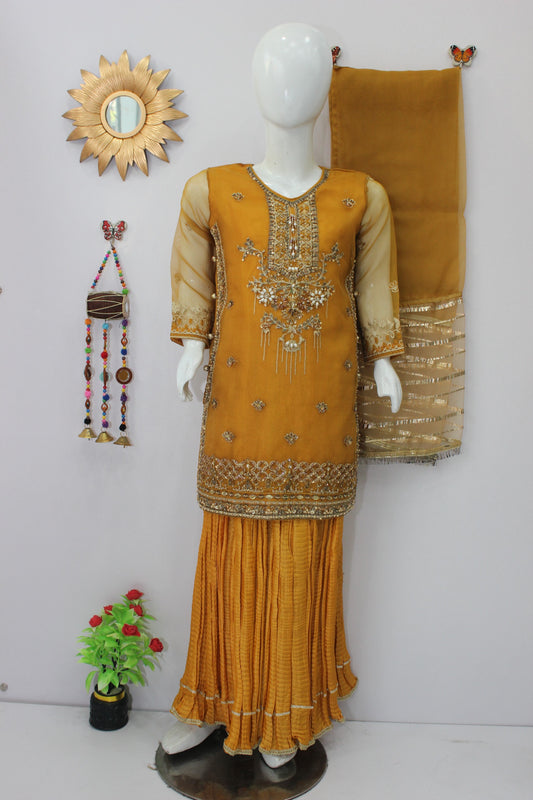Crush Lehnga 3 Piece Dress with Organza Shirt & Dupatta